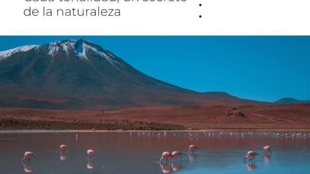 500740387_1568891274287510_7906037816255547193_n