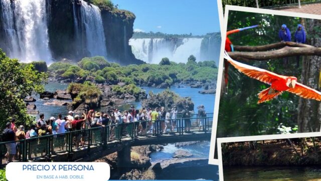 501050922_122133643898410743_6236790745500967251_n