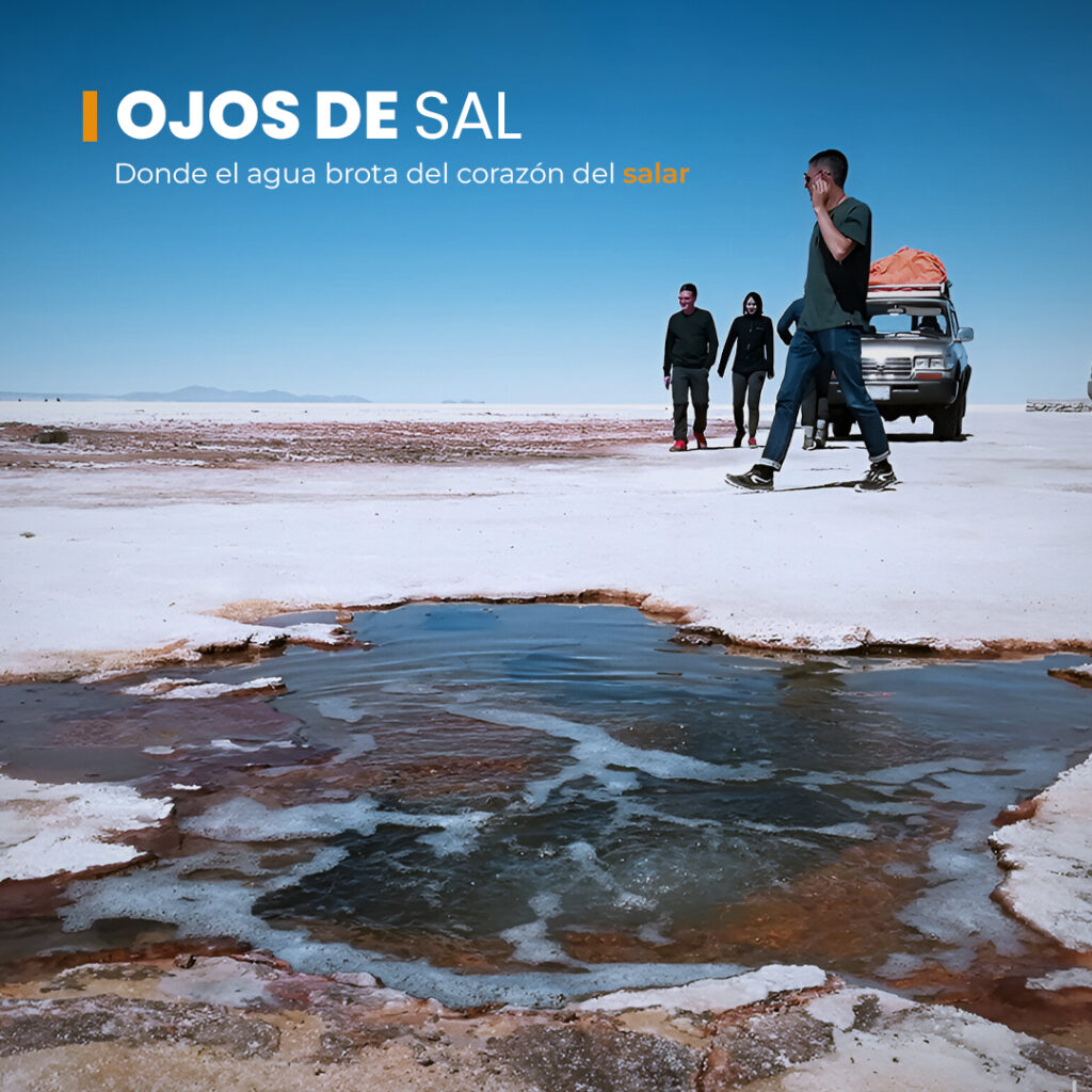 501135237_1110805697732338_571782949764048522_n