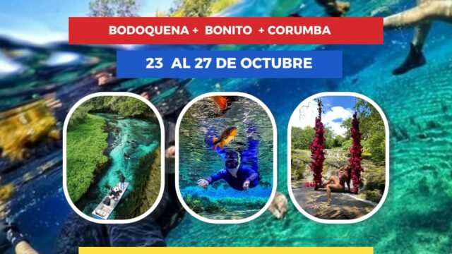 502423467_567285633095559_3255610247795801296_n