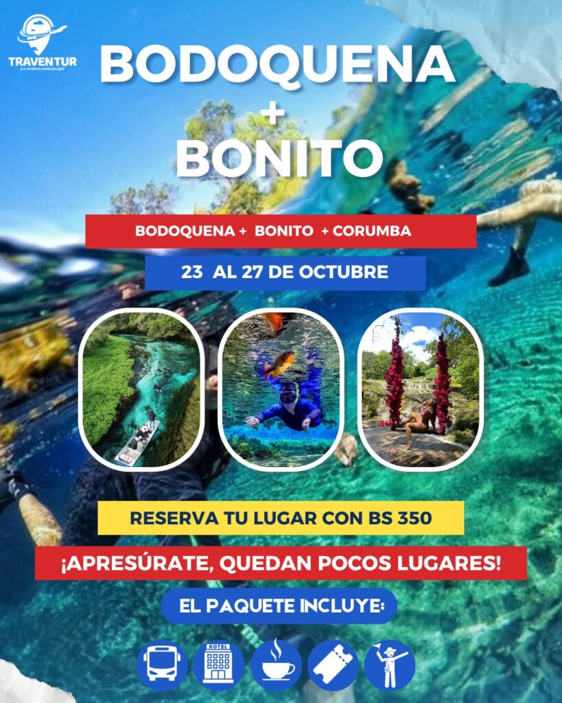 502423467_567285633095559_3255610247795801296_n