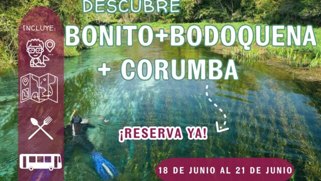 502464060_1231624592131046_9035869138830461469_n