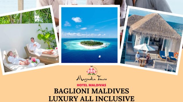 502503825_1169573518519438_5756241119433134750_n