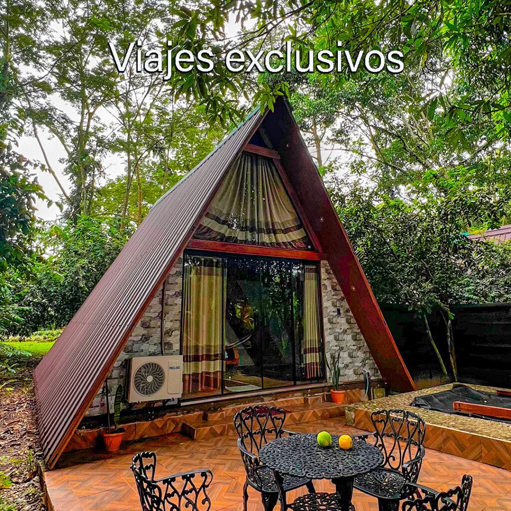 502529271_1113713380789980_3754083082973563169_n