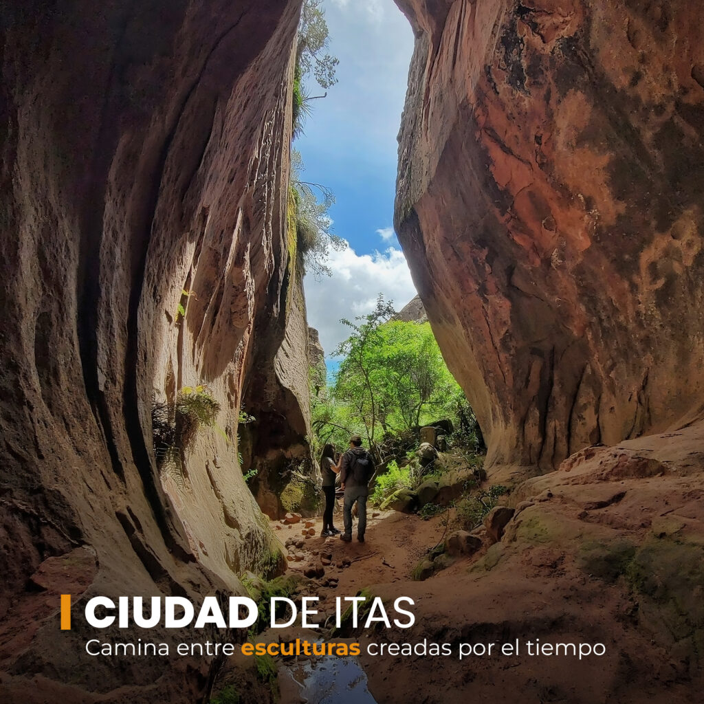 503800171_1117697823709792_5731846146917015411_n