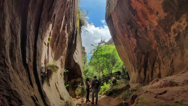 503800171_1117697823709792_5731846146917015411_n