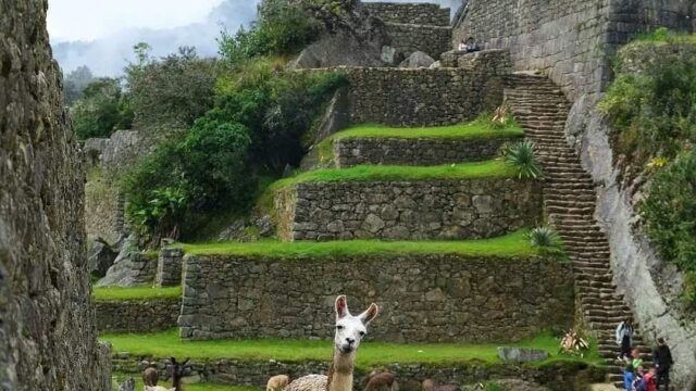 504294782_1112067980954053_9042357583232512777_n