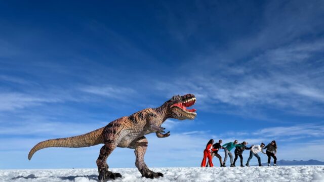 504983867_1308927174575703_1453405334990573352_n