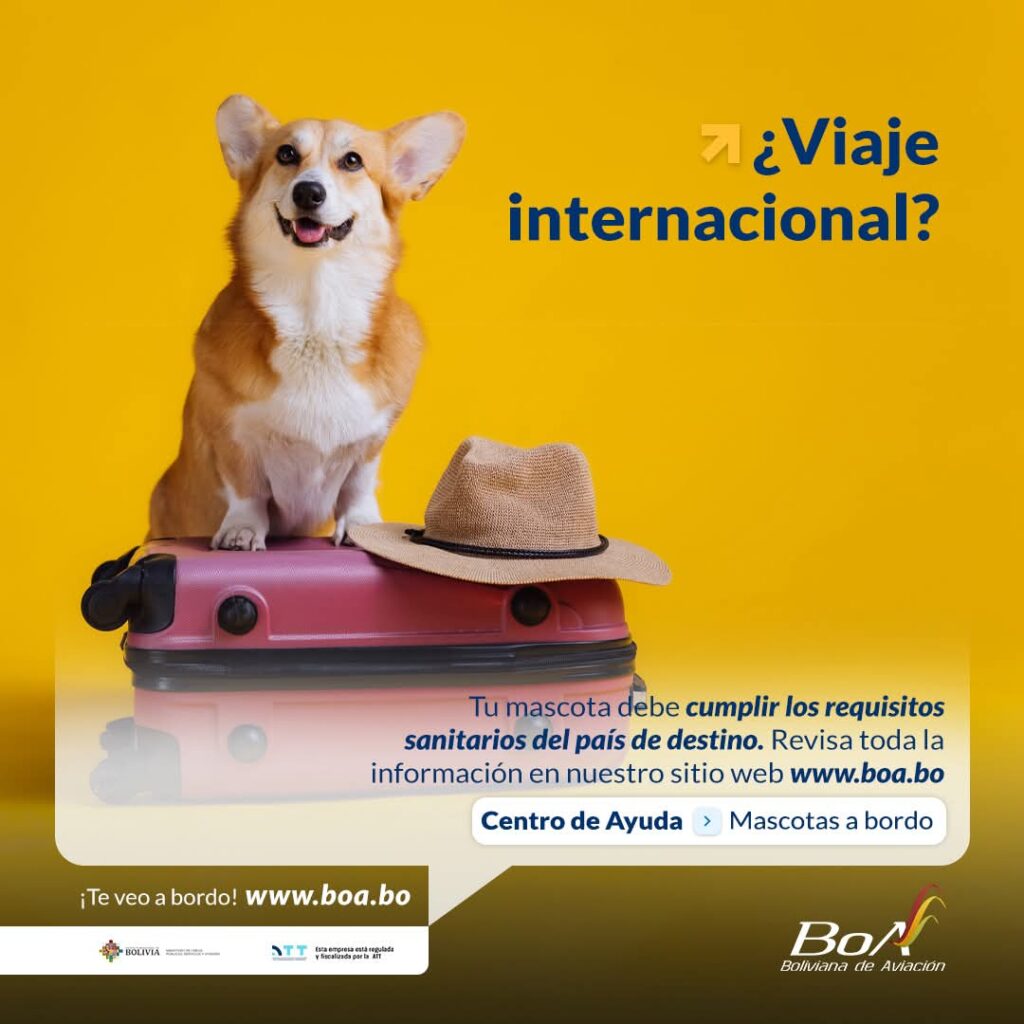 505719234_1366441078822831_90945288808334382_n