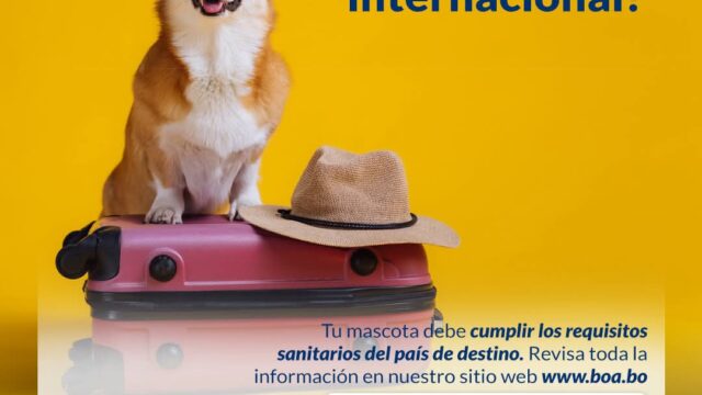 505719234_1366441078822831_90945288808334382_n