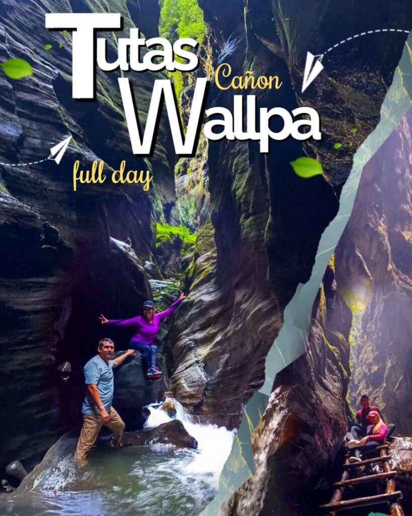 506615284_1218329869995769_4942313097496139987_n