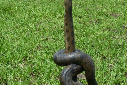 506939600_24217707584481406_5420365159264214326_n