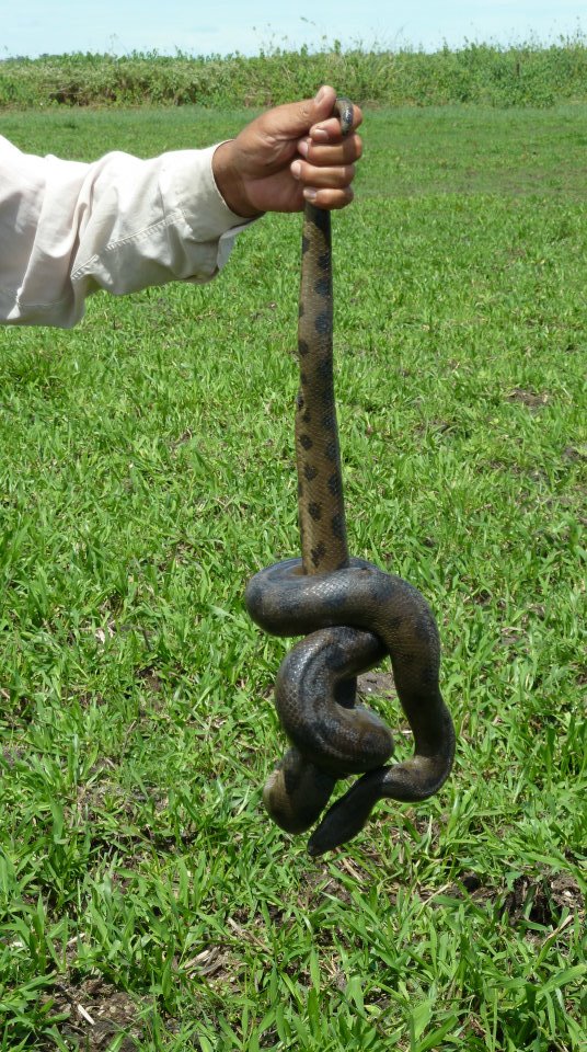 506939600_24217707584481406_5420365159264214326_n