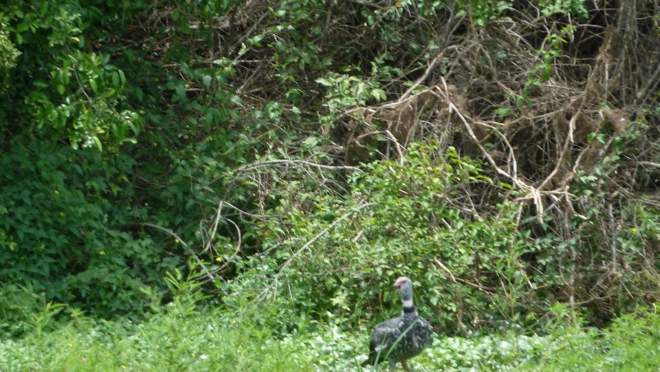 508468537_24217707401148091_3721107348221662277_n