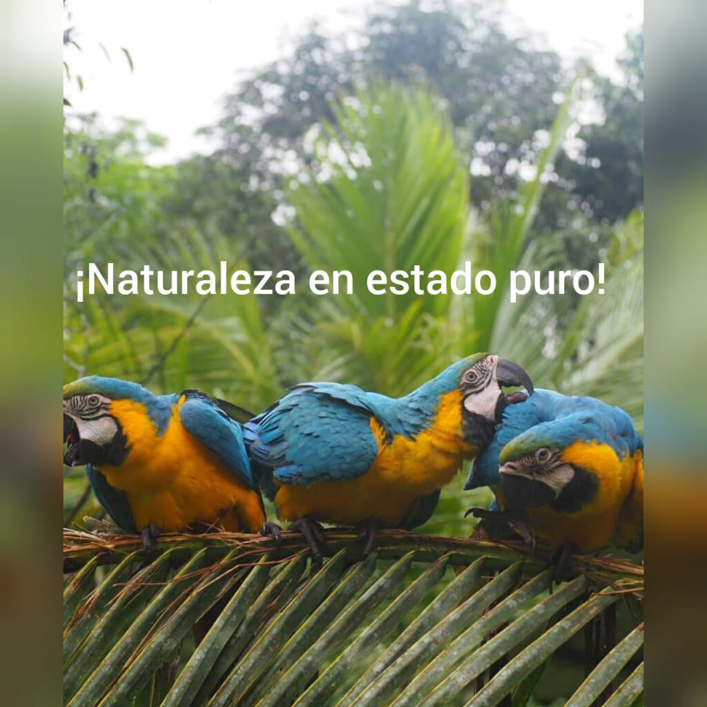 61236377_2566185456727350_3781870363718189056_n