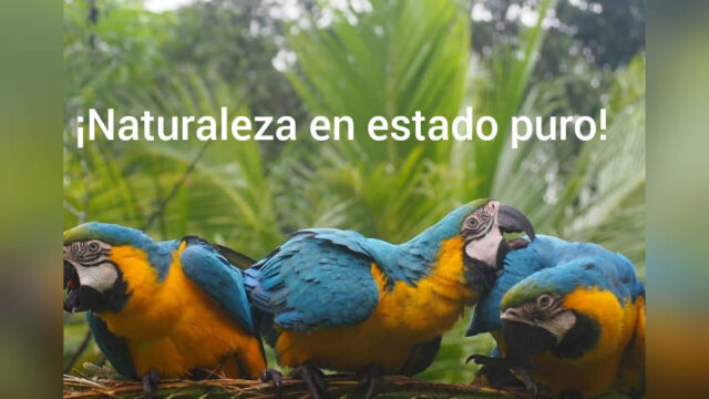 61236377_2566185456727350_3781870363718189056_n