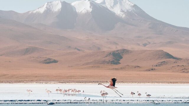 62255995_2298441917089888_5228523788345278464_n