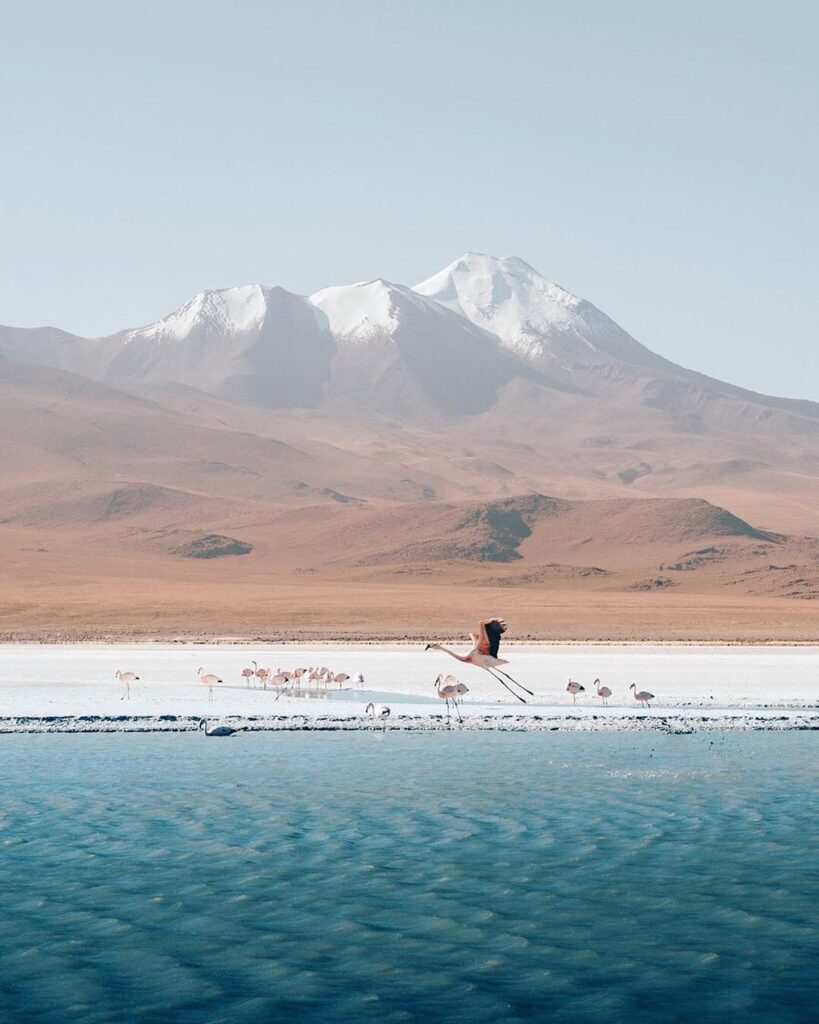 62255995_2298441917089888_5228523788345278464_n