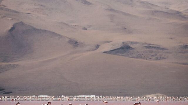 64274318_2298441957089884_7150696686107492352_n