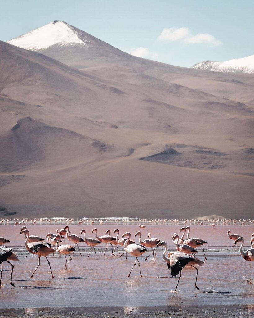 64274318_2298441957089884_7150696686107492352_n