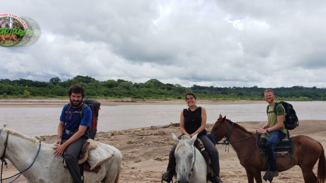 64449916_1611597748970759_3853351805073227776_n