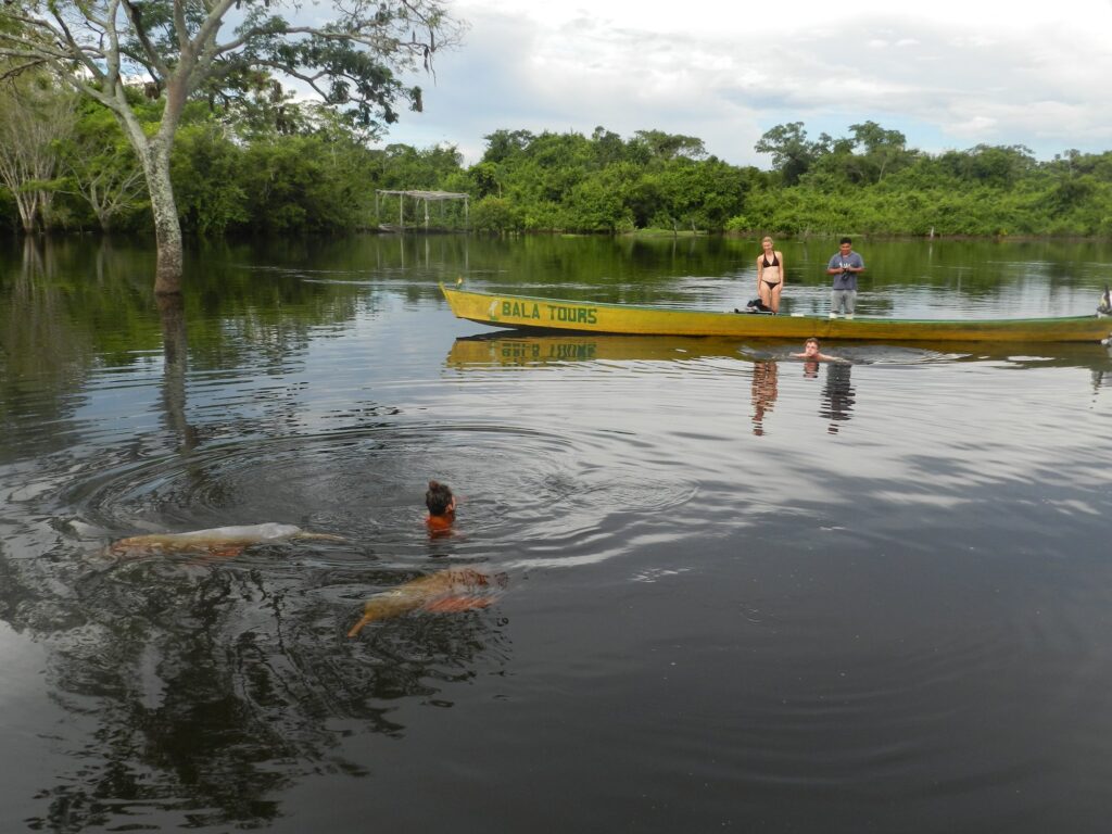 66455438_1271963029632719_7632872868925145088_n