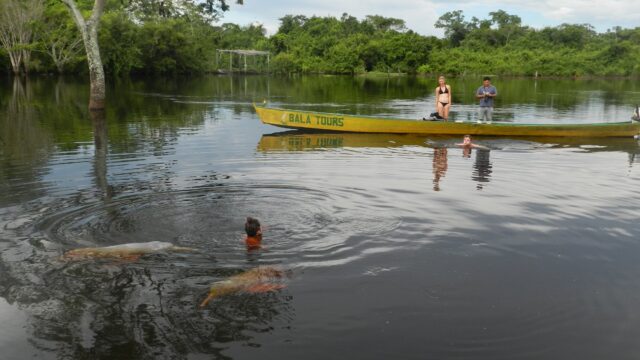 66455438_1271963029632719_7632872868925145088_n