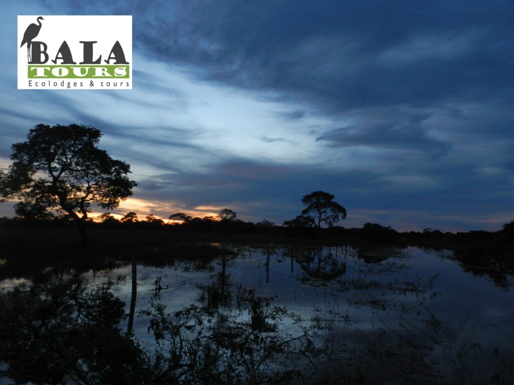 66797163_1275590422603313_5174042557692248064_n