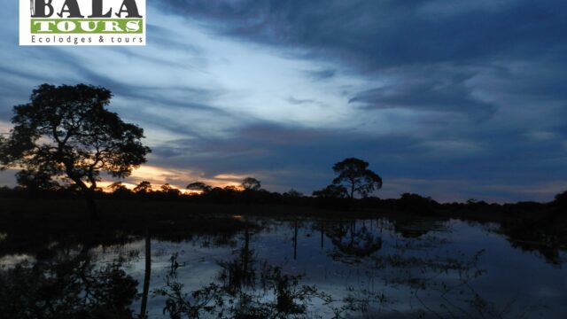 66797163_1275590422603313_5174042557692248064_n