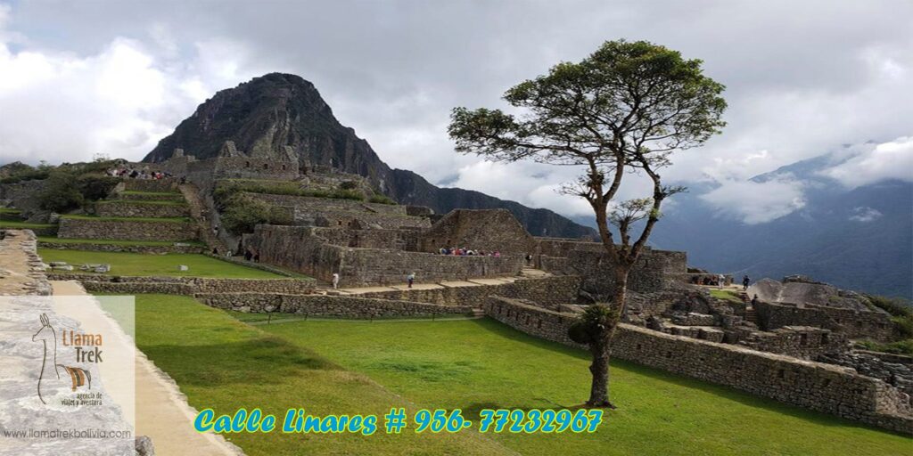 67338123_2361844090765068_6651094128752852992_n