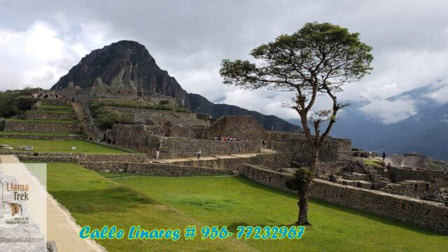 67338123_2361844090765068_6651094128752852992_n