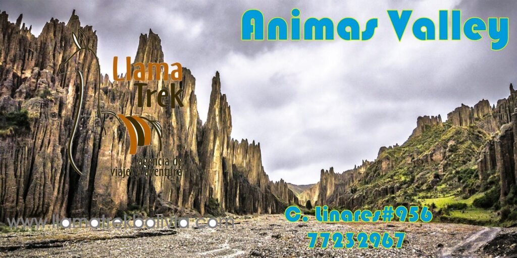 67377443_2368678156748328_3111263073587953664_n