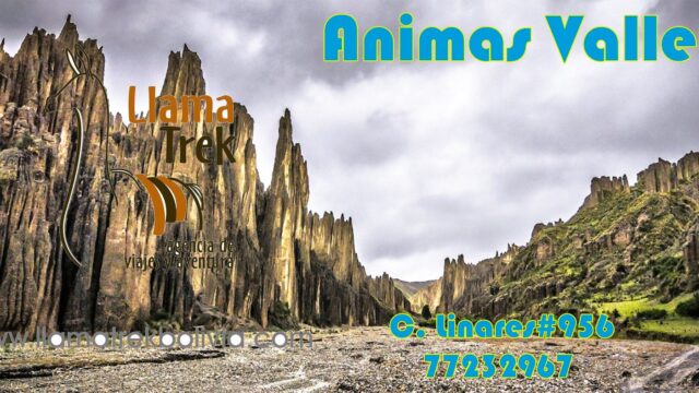 67377443_2368678156748328_3111263073587953664_n