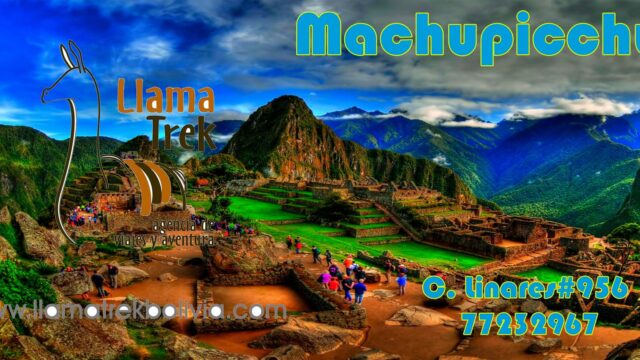 67394239_2370119063270904_2247685698872147968_n