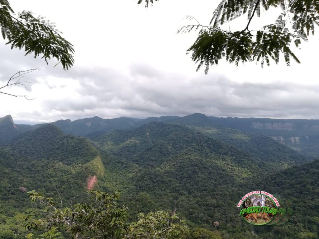 69578825_1679553158841884_2062282685237166080_n