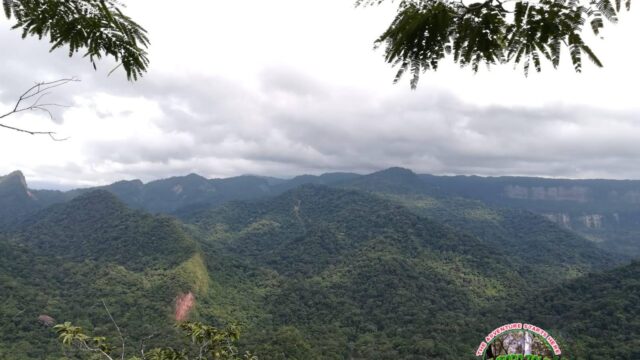 69578825_1679553158841884_2062282685237166080_n