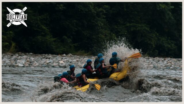 87611255_1484660358350833_5888360735016222720_n