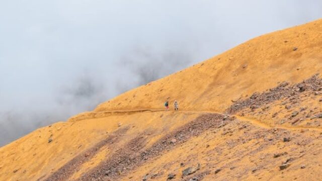 Captura de pantalla 2025-06-02 093139