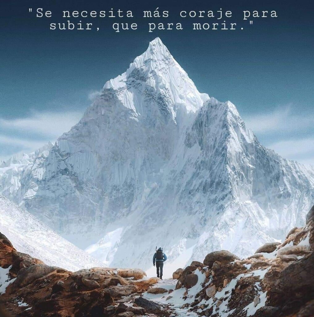 116205883_495749621259148_3534880692558519170_n