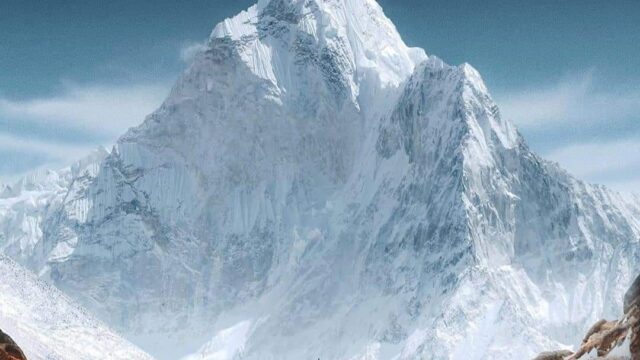 116205883_495749621259148_3534880692558519170_n