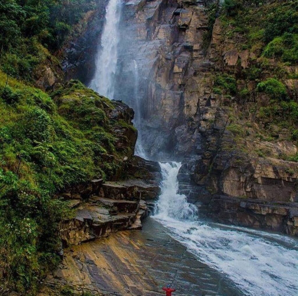 119901453_2002387876565246_5845943204831159599_n