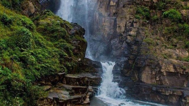 119901453_2002387876565246_5845943204831159599_n