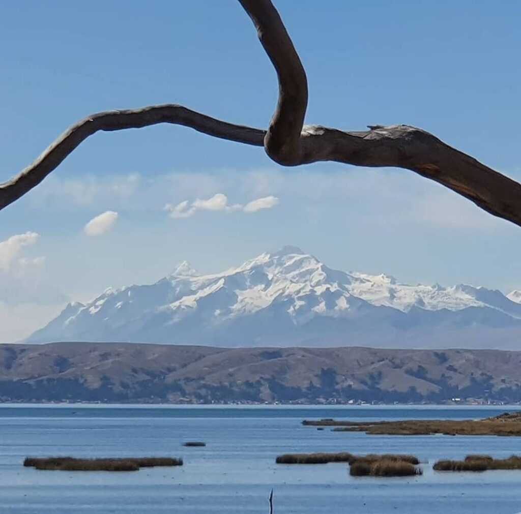 120228978_2010049339132433_3727348988202146384_n