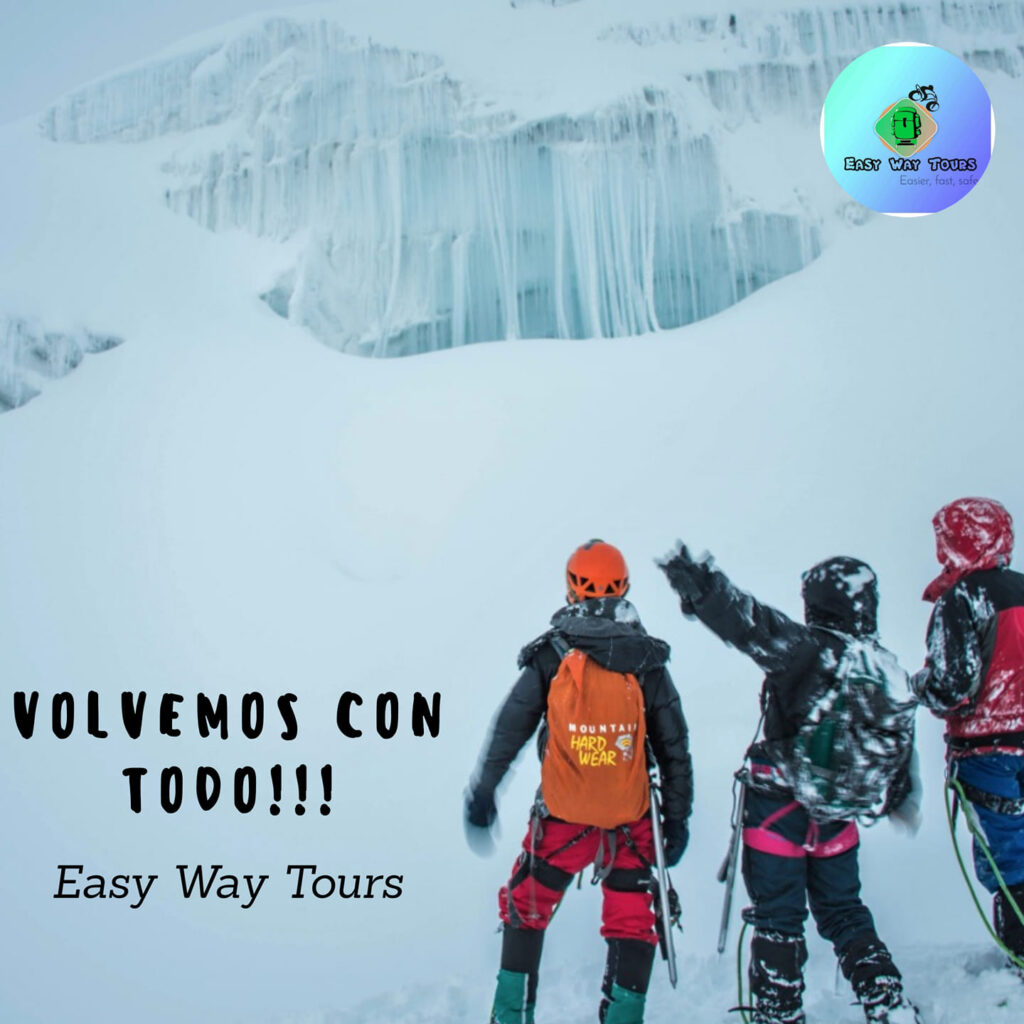 120764915_536756243825152_5131834973652654621_n