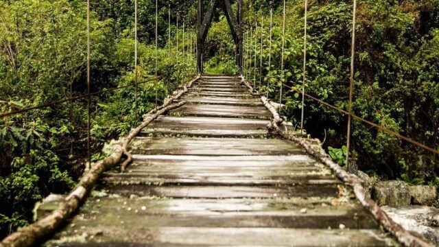 120837759_2017247298412637_2532757764121423656_n