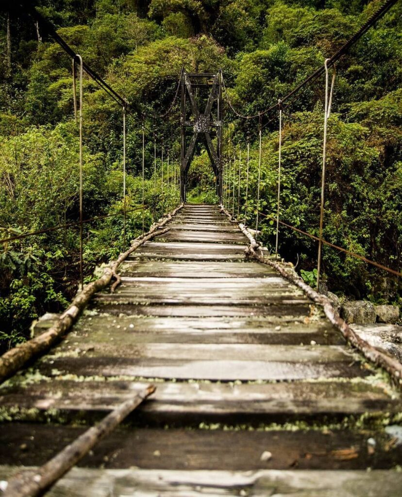 120837759_2017247298412637_2532757764121423656_n