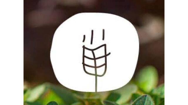 275428011_1728148167518406_1508171406091283877_n