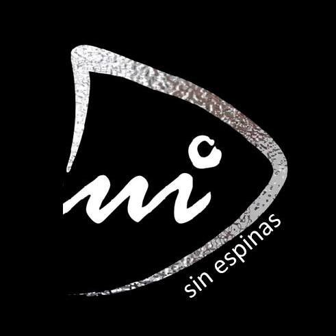 298651837_3121942461400880_1532874078907245793_n