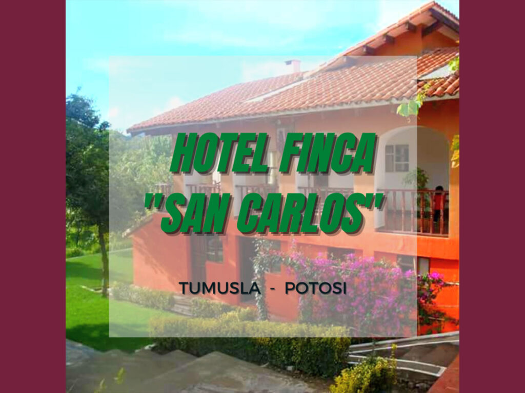 306796458_452099870291331_2941355941817157679_n