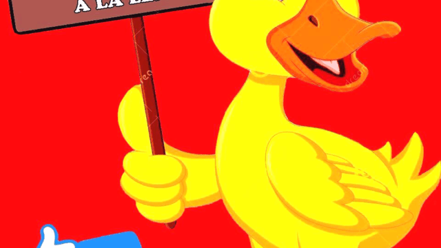 308602103_525195716273678_234480733135917144_n